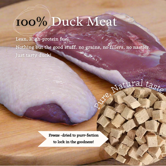 "Ducky Delights" 100% Freeze-Dried Duck Meat- 40g pouch - Tail Tips
