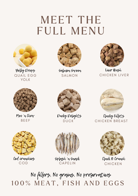 Ultimate Protein Bundle Pack 🌟 - Tail Tips