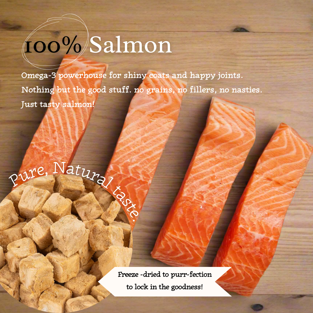 "Salmon Swoon" 100% Freeze-Dried Salmon- 40g Pouch - Tail Tips