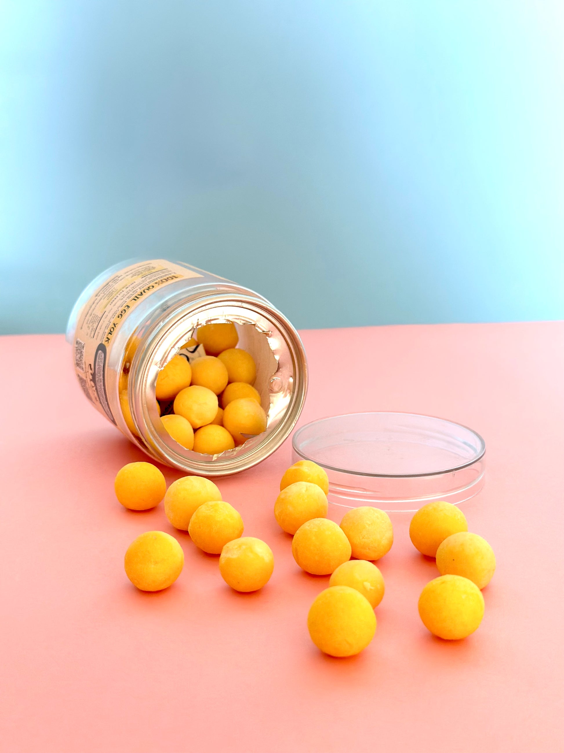 Yolky Drops - 100% Freeze-Dried Quail Egg Yolk Treats | Pure Protein | Tail Tips UK | 70g jar - Tail Tips