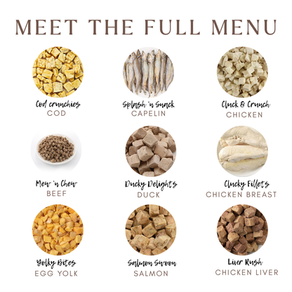Yolky Drops - 100% Freeze-Dried Quail Egg Yolk Treats | Pure Protein | Tail Tips UK | 70g jar - Tail Tips