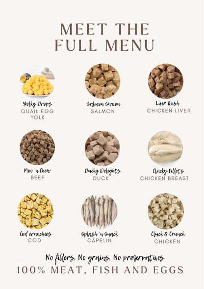 Clucky Filets - 100% Freeze-Dried Chicken Breast Treats | Pure & Natural | Tail Tips UK | 4pcs pack - Tail Tips