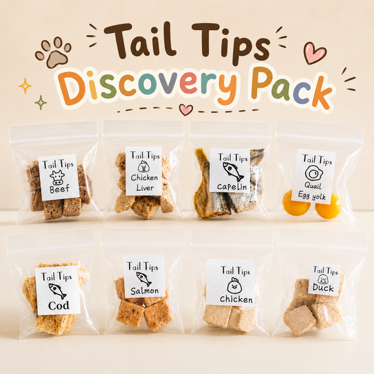 Tail Tips- Discovery Pack