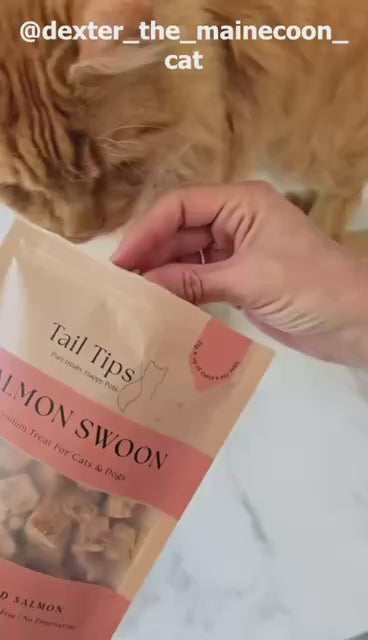 Salmon Swoon - 100% Freeze-Dried Salmon Treats | Pure & Natural | Tail Tips UK