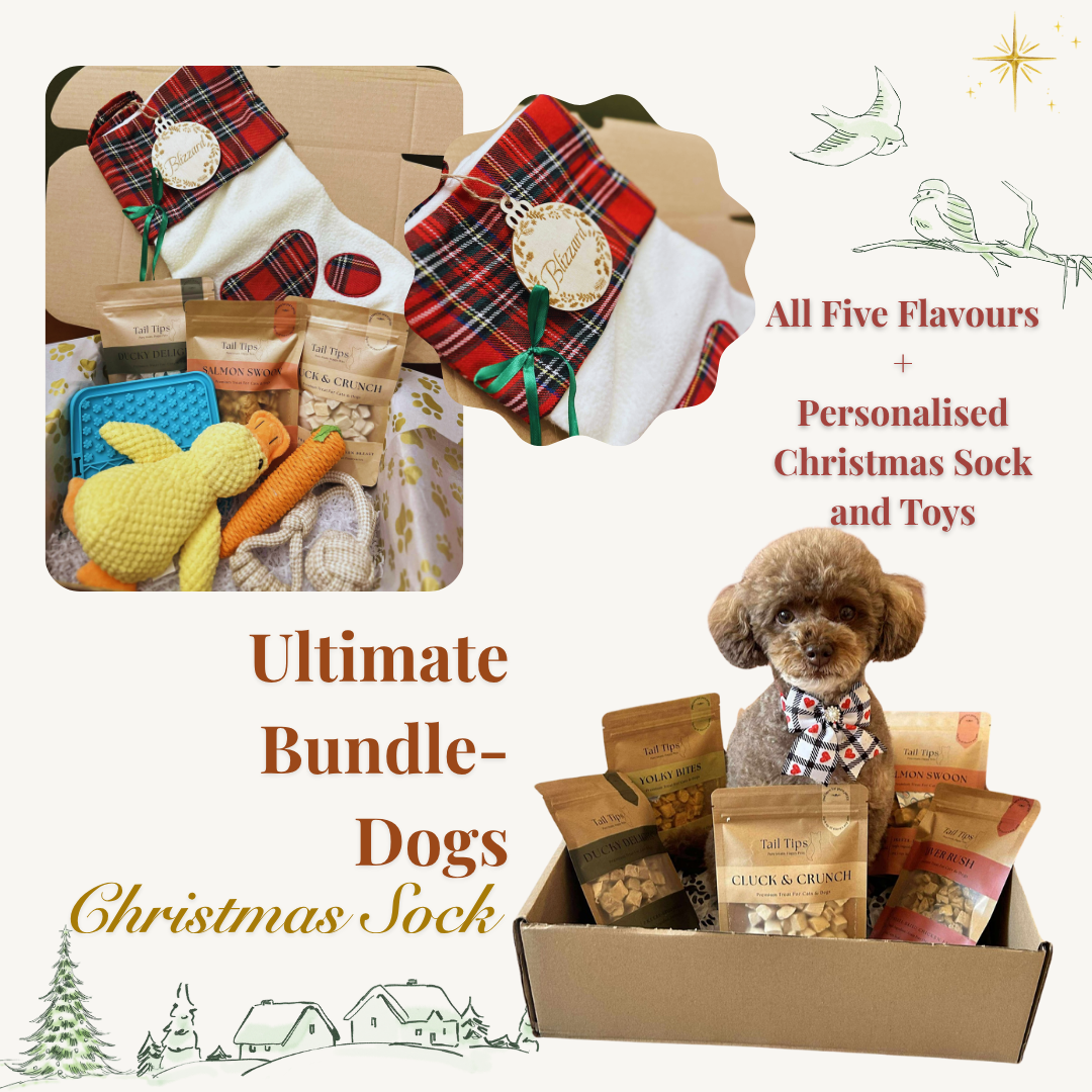 Personalised Pet Christmas Sock Gift Set for Cats & Dogs | Pet Name Engraving | Tail Tips UK - Tail Tips