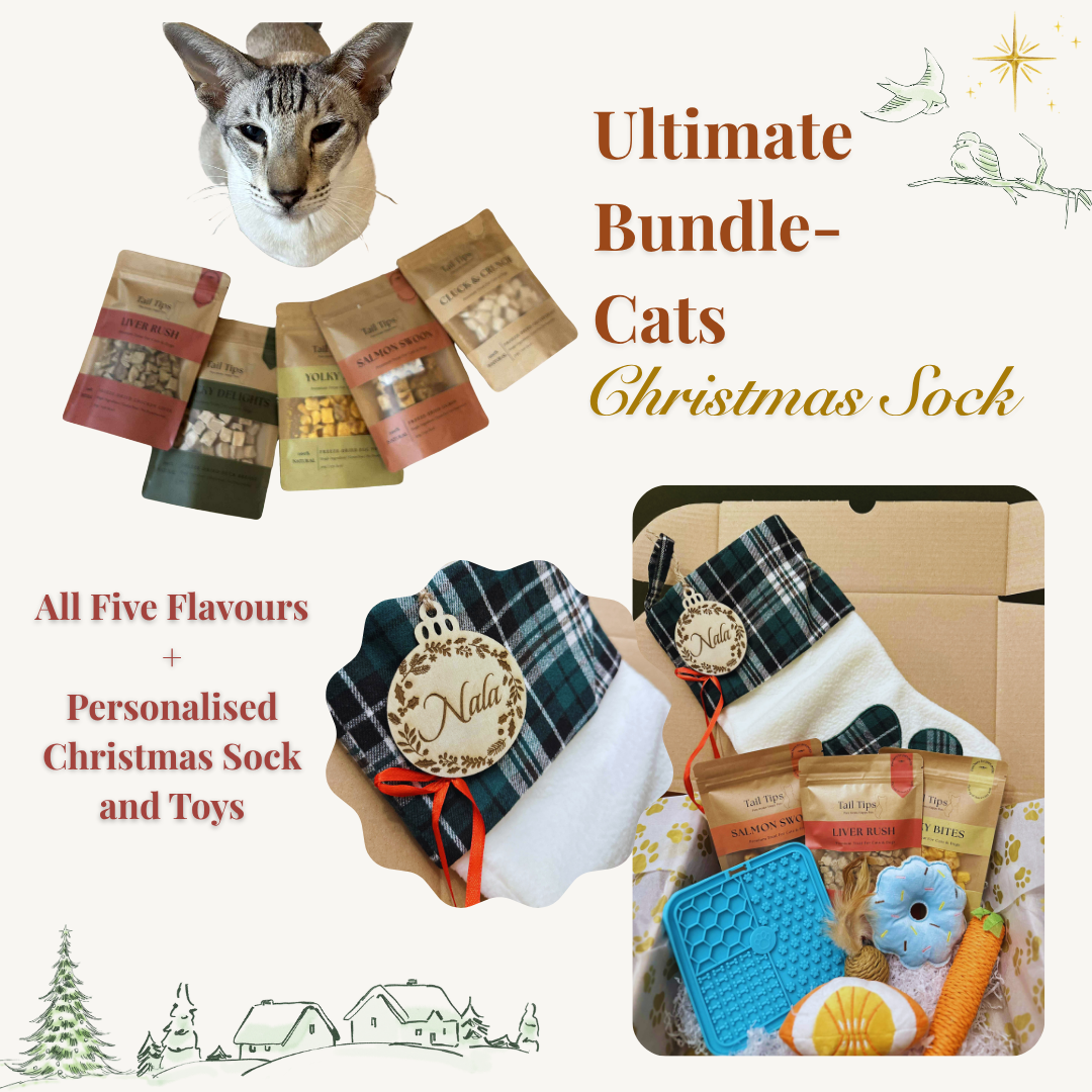 Personalised Pet Christmas Sock Gift Set for Cats & Dogs | Pet Name Engraving | Tail Tips UK - Tail Tips
